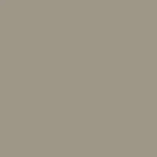 Barnwood Gray DET 620