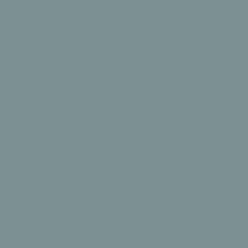 Weathered Blue DET 560
